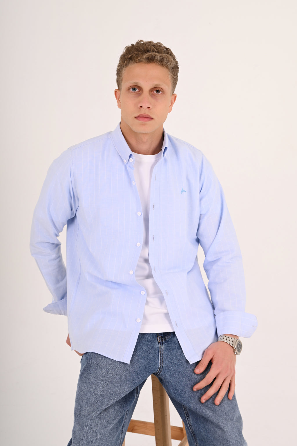 Powder Blue Striped Cotton Regular Fit Shirt