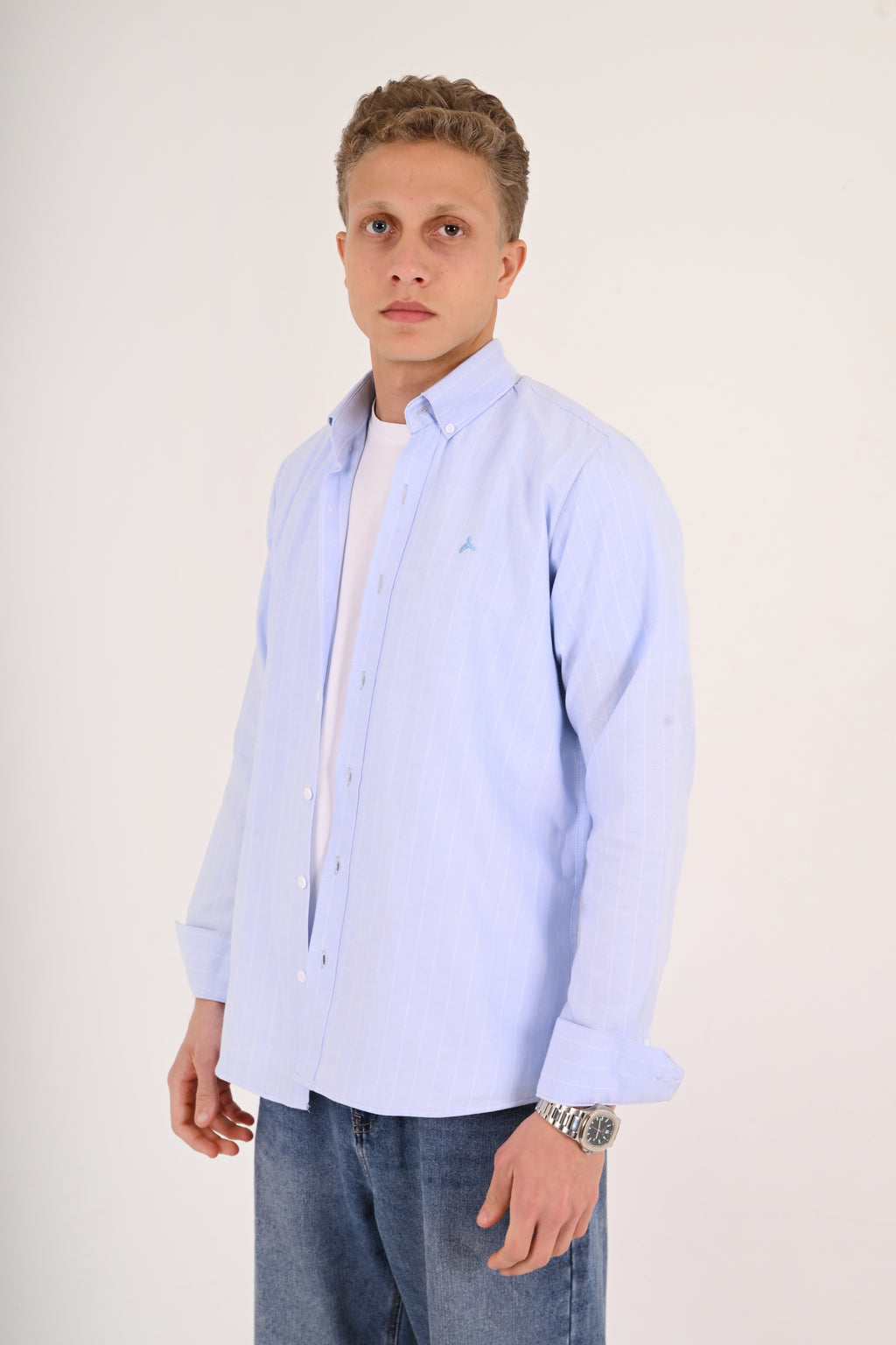 Powder Blue Striped Cotton Regular Fit Shirt