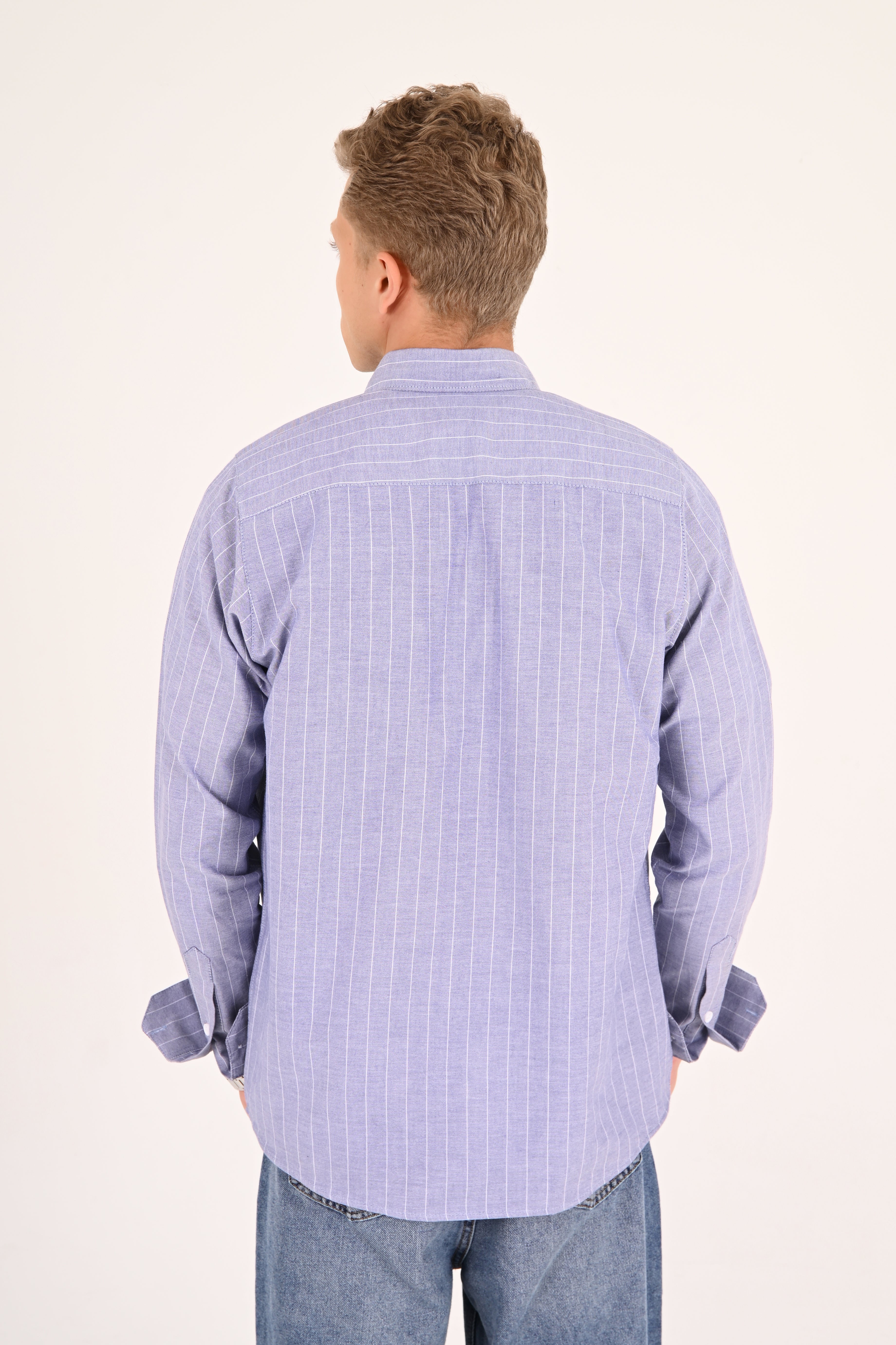 Sky Blue Striped Cotton Regular Fit Shirt