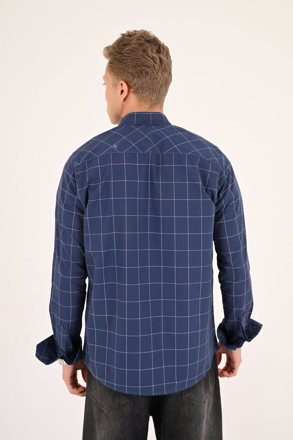 Blue Windowpane Regular Fit Check Shirt