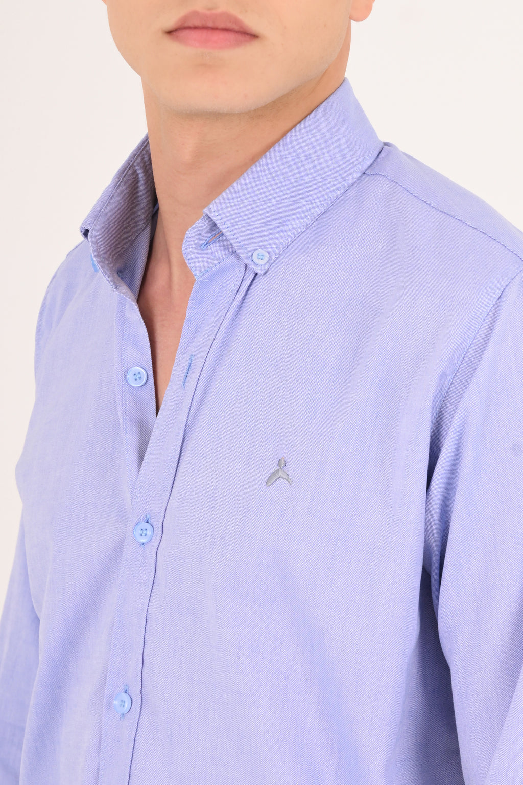 Royal Azure Regular Fit Oxford Shirt