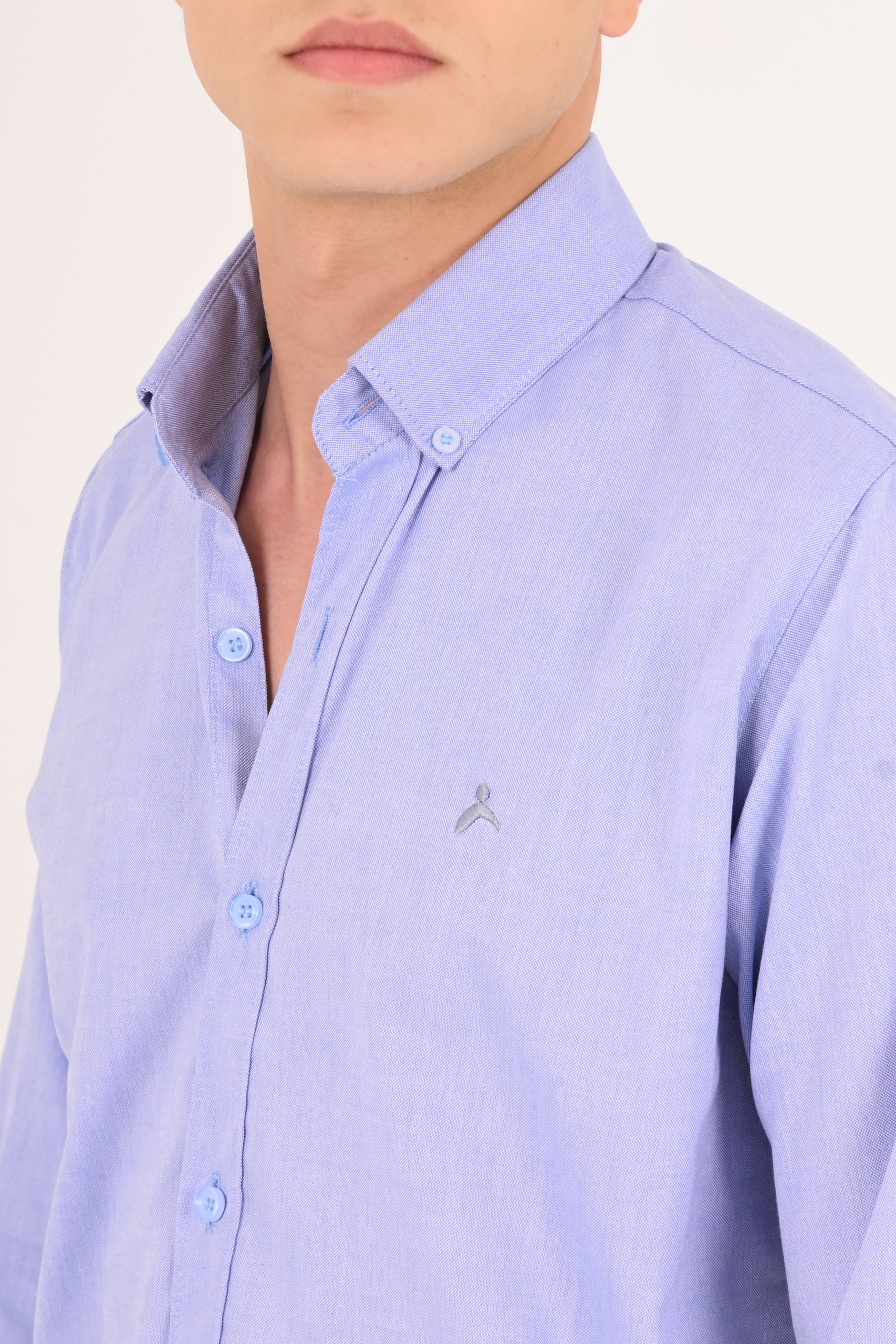 Royal Azure Regular Fit Oxford Shirt