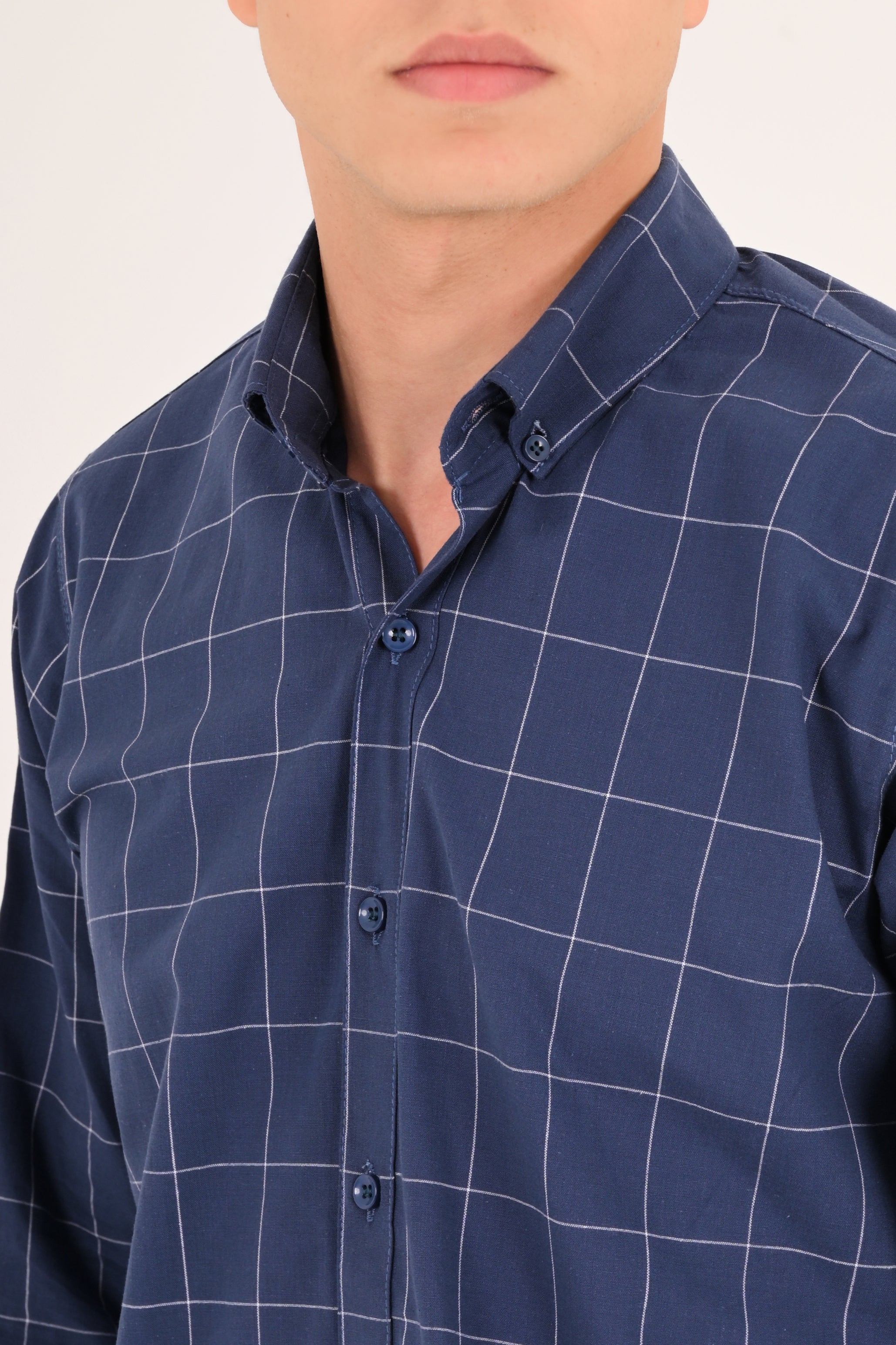 Blue Windowpane Regular Fit Check Shirt