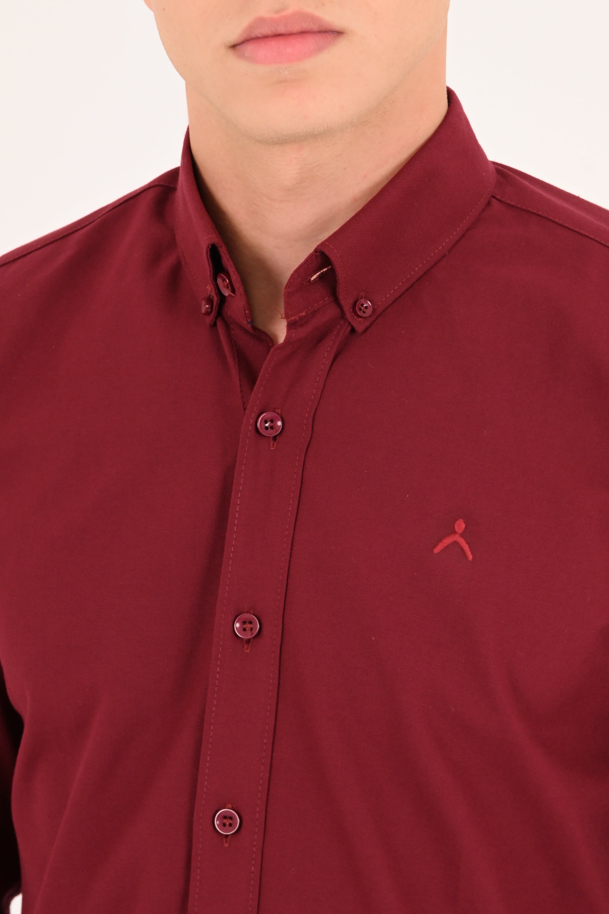 Burgundy Regular Fit Oxford Shirt