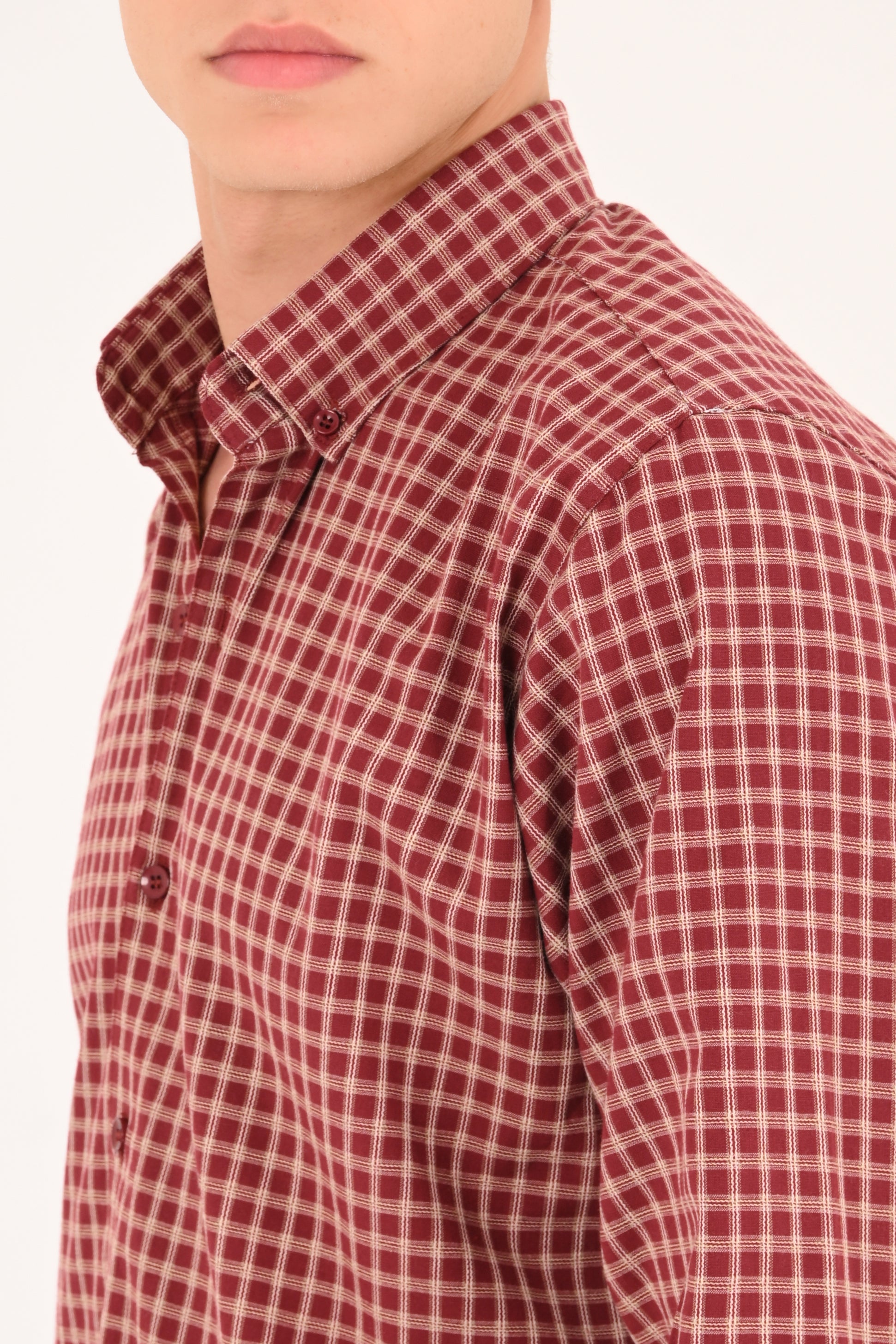 Deep Burgundy Small Check Regular Fit Shirt
