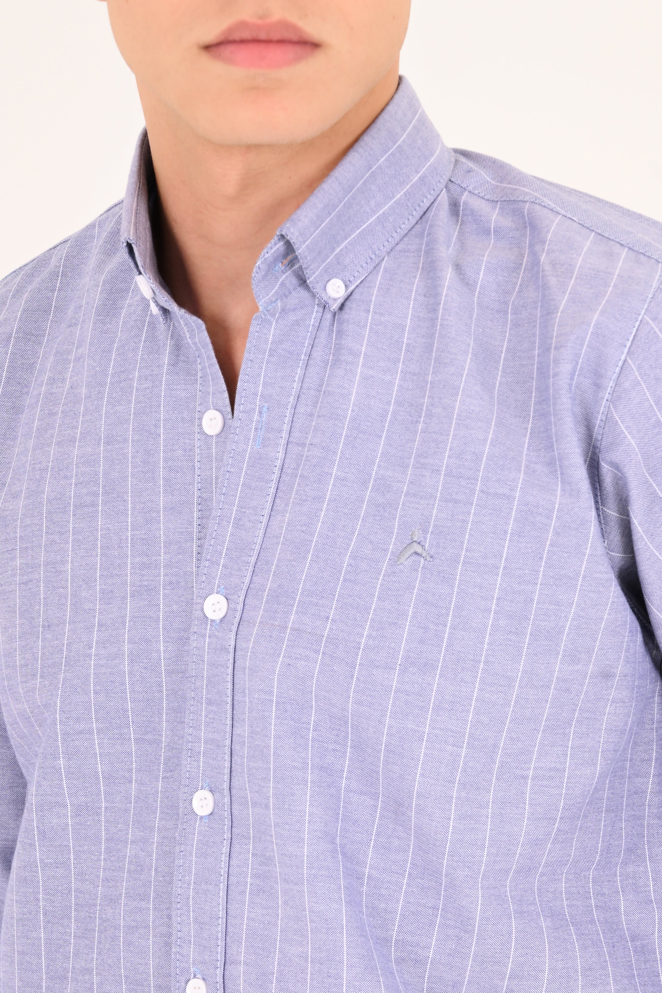 Sky Blue Striped Cotton Regular Fit Shirt