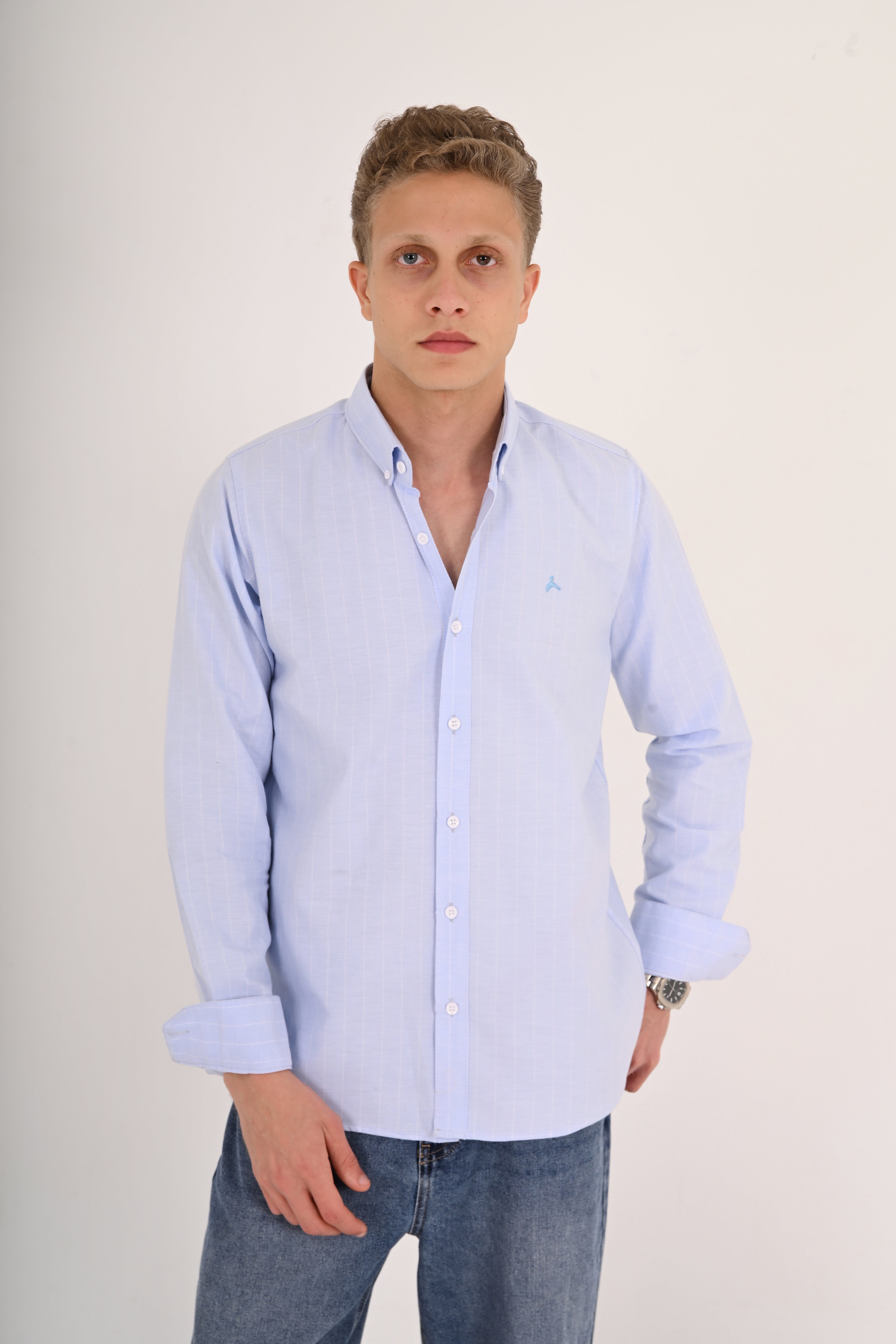Powder Blue Striped Cotton Regular Fit Shirt