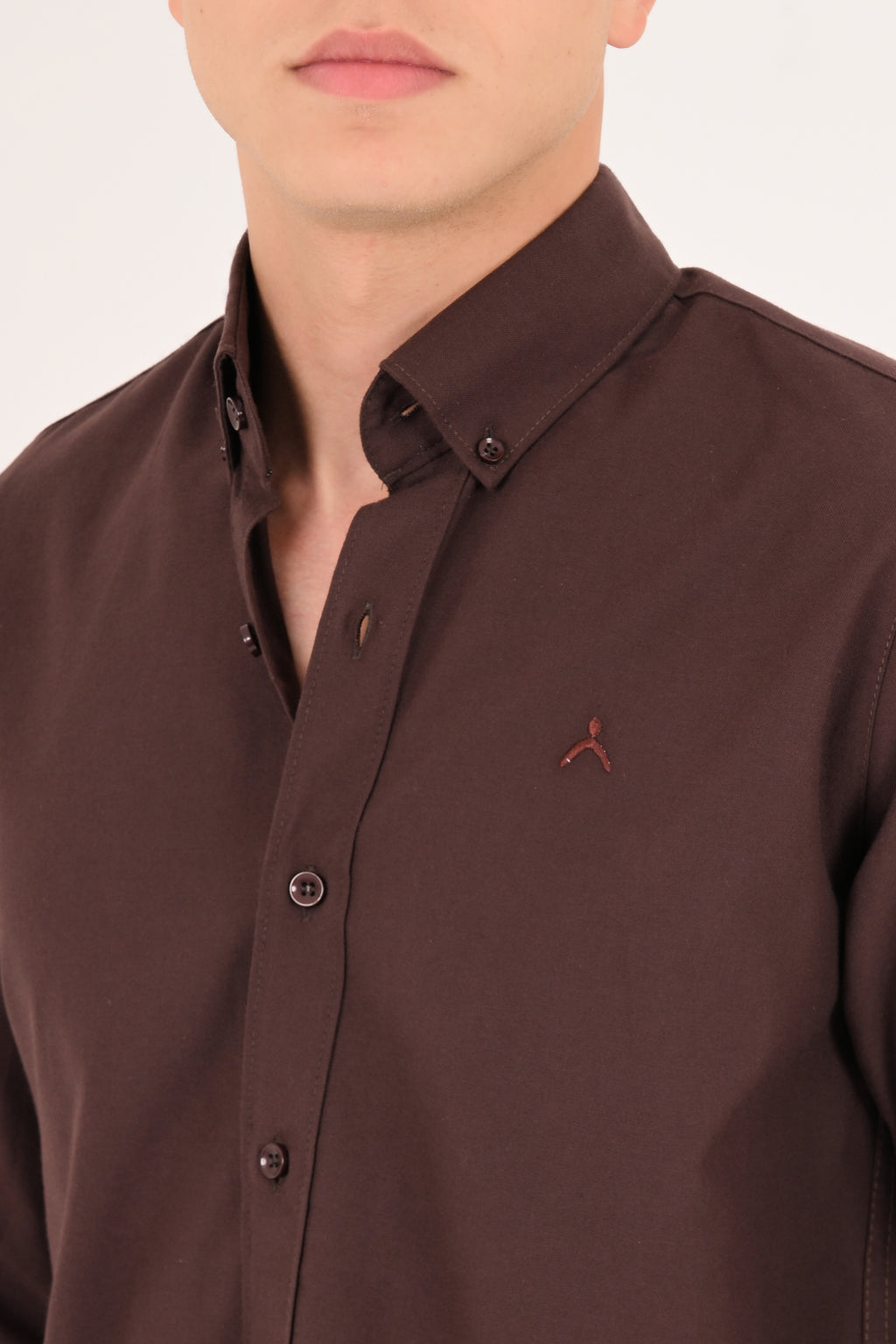 Chocolate Brown Regular Fit Oxford Shirt